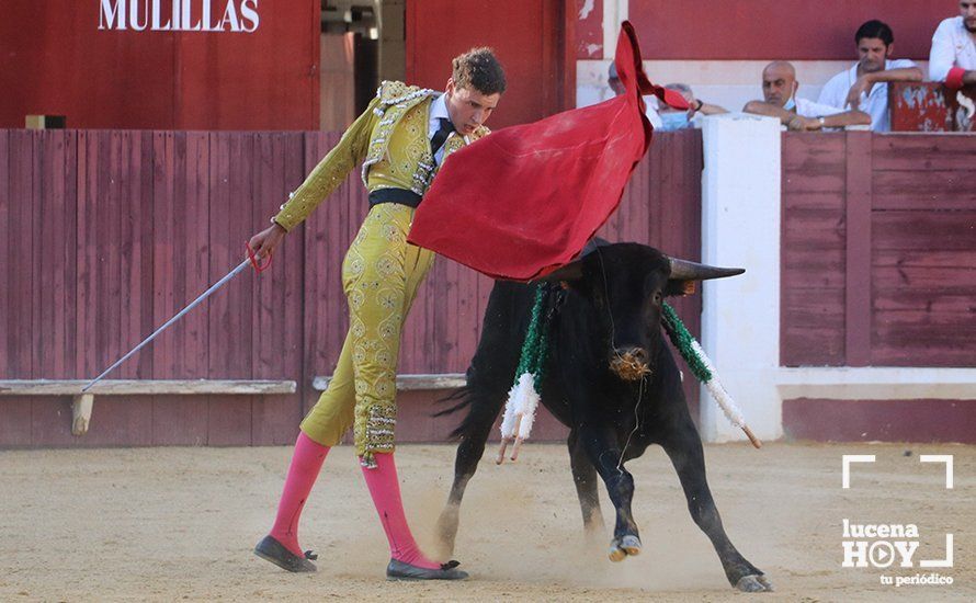 Galería: Alejandro Mariscal se proclama vencedor en el I Bolsín Taurino "Coso de los Donceles" de Lucena Galería: Alejandro Mariscal se proclama vencedor en el I Bolsín Taurino "Coso de los Donceles" de Lucena