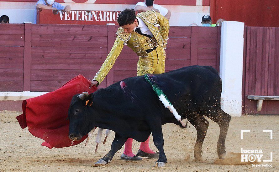 Galería: Alejandro Mariscal se proclama vencedor en el I Bolsín Taurino "Coso de los Donceles" de Lucena