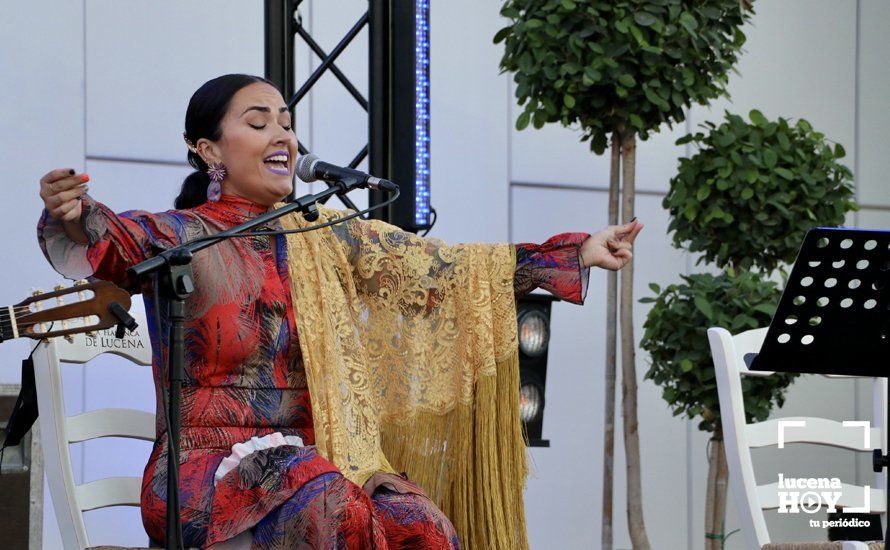 GALERÍA: "Flamencos y pelícanos", un paseo por las mil caras del flamenco con sabor a Lucena. Las fotos del concierto