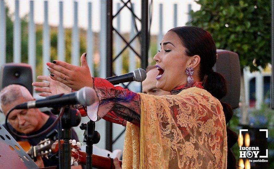 GALERÍA: "Flamencos y pelícanos", un paseo por las mil caras del flamenco con sabor a Lucena. Las fotos del concierto