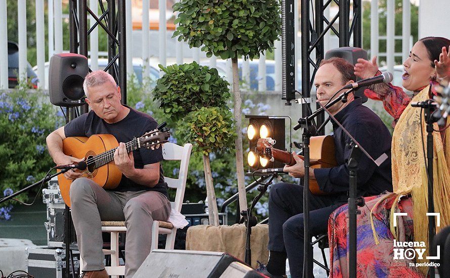 GALERÍA: "Flamencos y pelícanos", un paseo por las mil caras del flamenco con sabor a Lucena. Las fotos del concierto