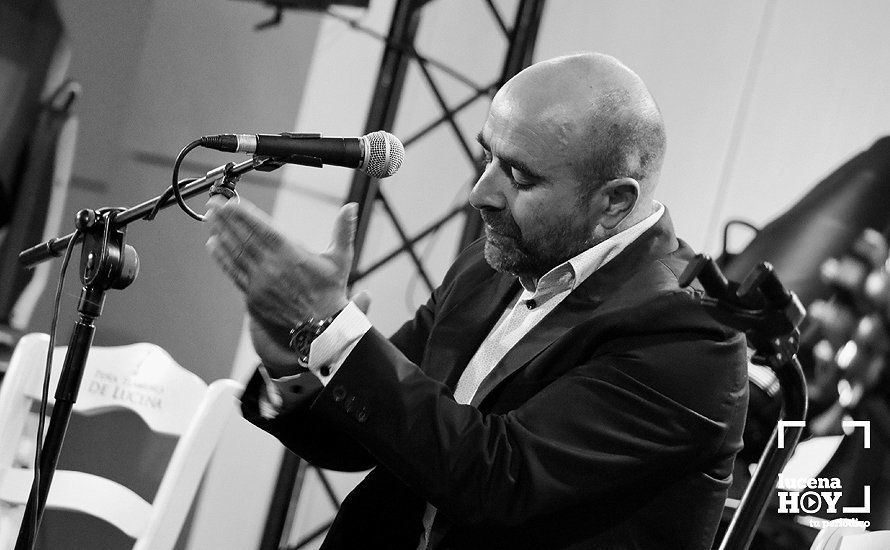 GALERÍA: "Flamencos y pelícanos", un paseo por las mil caras del flamenco con sabor a Lucena. Las fotos del concierto GALERÍA: "Flamencos y pelícanos", un paseo por las mil caras del flamenco con sabor a Lucena. Las fotos del concierto
