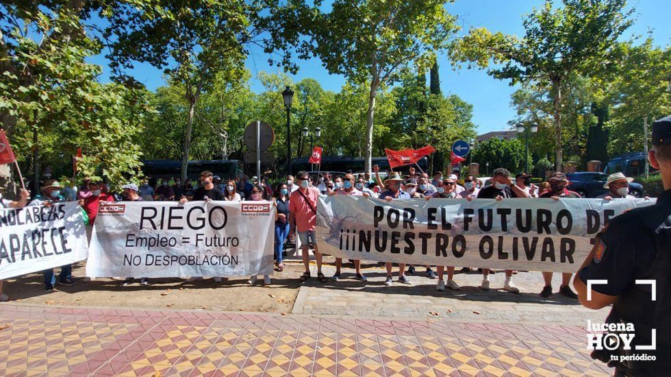  Manifestantes ante la sede de la CHG en Sevilla 