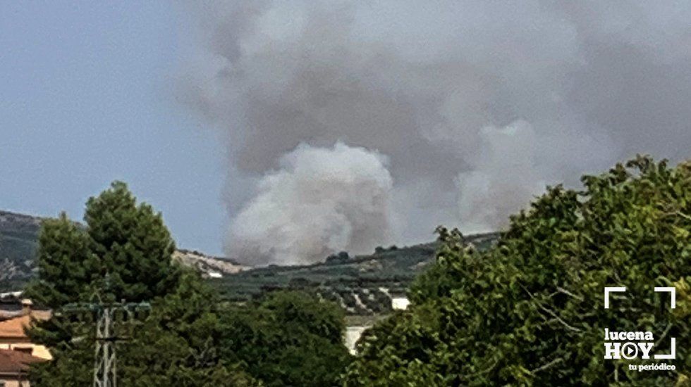  Una densa columna de humo del incendio de la Sierra de Galena, visto desde Lucena. Foto: Cedida 