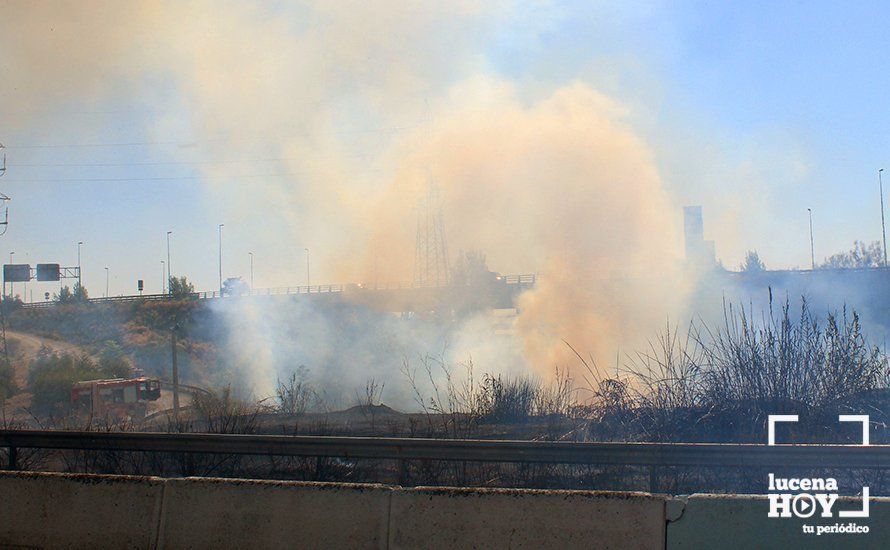 GALERÍA: Un incendio calcina una amplia franja de pastos y cañaveral de ribera entre el río Lucena y la N331, a la altura del Plan Oeste 1 GALERÍA: Un incendio calcina una amplia franja de pastos y cañaveral de ribera entre el río Lucena y la N331, a la altura del Plan Oeste 1