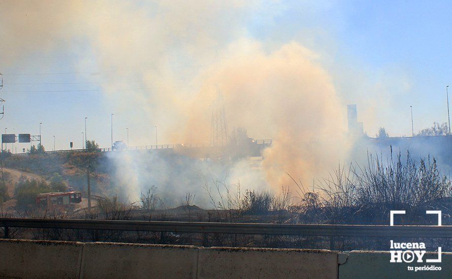 GALERÍA: Un incendio calcina una amplia franja de pastos y cañaveral de ribera entre el río Lucena y la N331, a la altura del Plan Oeste 1