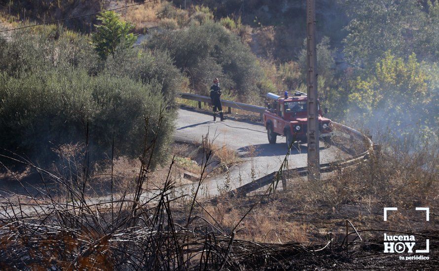 GALERÍA: Un incendio calcina una amplia franja de pastos y cañaveral de ribera entre el río Lucena y la N331, a la altura del Plan Oeste 1