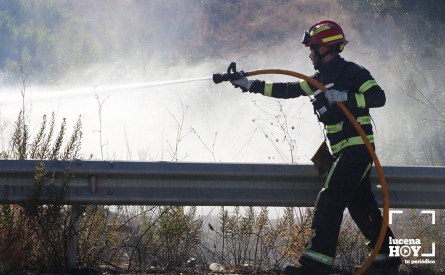 GALERÍA: Un incendio calcina una amplia franja de pastos y cañaveral de ribera entre el río Lucena y la N331, a la altura del Plan Oeste 1