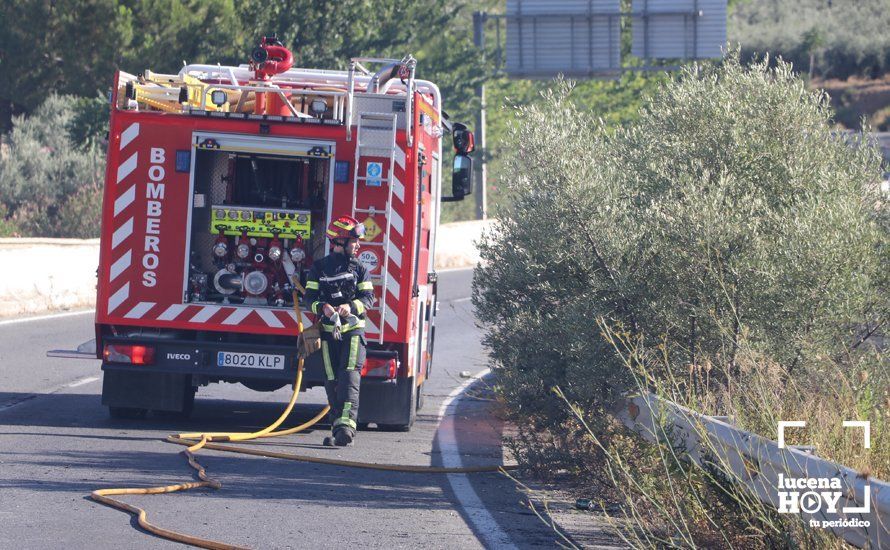 GALERÍA: Un incendio calcina una amplia franja de pastos y cañaveral de ribera entre el río Lucena y la N331, a la altura del Plan Oeste 1 GALERÍA: Un incendio calcina una amplia franja de pastos y cañaveral de ribera entre el río Lucena y la N331, a la altura del Plan Oeste 1