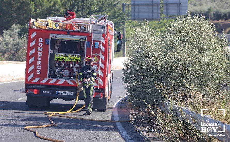 GALERÍA: Un incendio calcina una amplia franja de pastos y cañaveral de ribera entre el río Lucena y la N331, a la altura del Plan Oeste 1