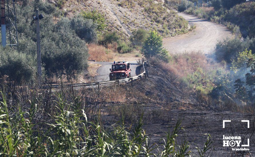 GALERÍA: Un incendio calcina una amplia franja de pastos y cañaveral de ribera entre el río Lucena y la N331, a la altura del Plan Oeste 1