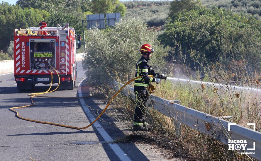 GALERÍA: Un incendio calcina una amplia franja de pastos y cañaveral de ribera entre el río Lucena y la N331, a la altura del Plan Oeste 1 GALERÍA: Un incendio calcina una amplia franja de pastos y cañaveral de ribera entre el río Lucena y la N331, a la altura del Plan Oeste 1