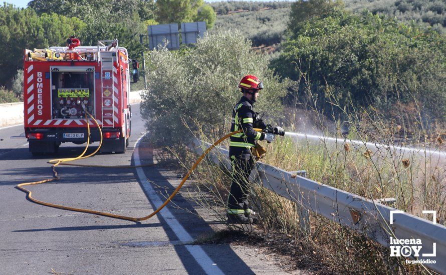 GALERÍA: Un incendio calcina una amplia franja de pastos y cañaveral de ribera entre el río Lucena y la N331, a la altura del Plan Oeste 1