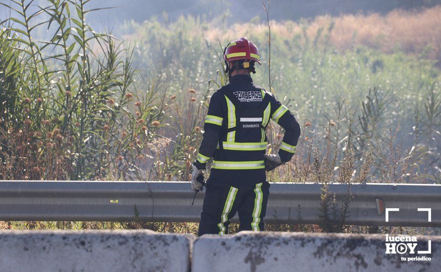 GALERÍA: Un incendio calcina una amplia franja de pastos y cañaveral de ribera entre el río Lucena y la N331, a la altura del Plan Oeste 1