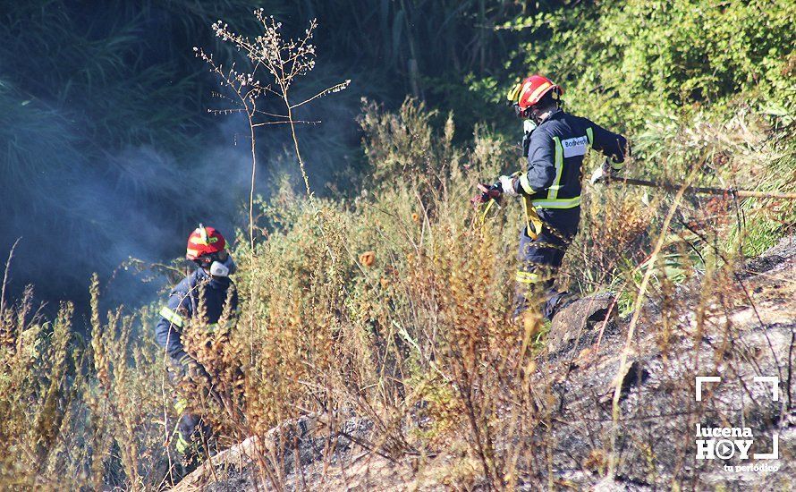 GALERÍA: Un incendio calcina una amplia franja de pastos y cañaveral de ribera entre el río Lucena y la N331, a la altura del Plan Oeste 1