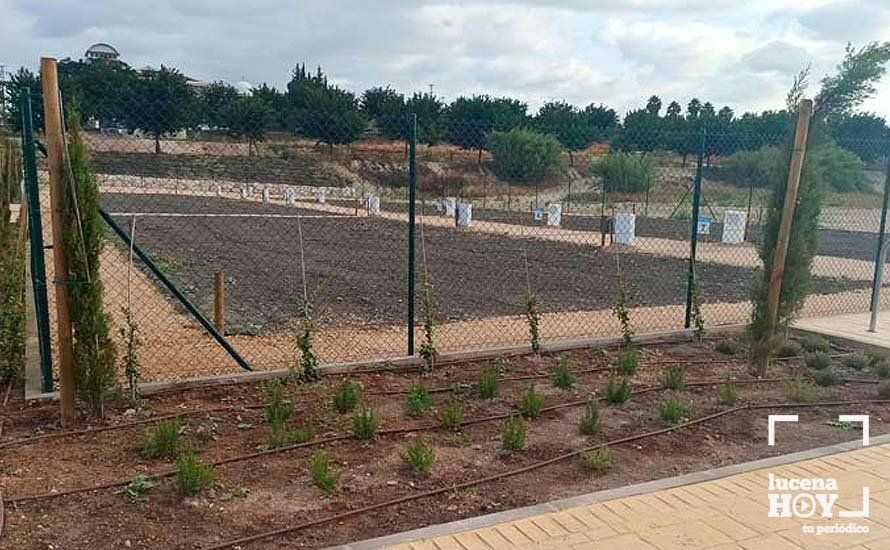  Parcelas reservadas para los Huertos Urbanos Municipales junto al auditorio municipal, en la zona de la antigua estación 