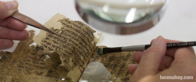  Patrimonio traduce un libro sobre textos judíos lucentinos medievales 