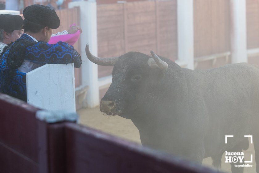 GALERÍA: "Puerta de Córdoba" para Juan Ortega y Pablo Aguado ante un deslucido encierro de Murube en el Coso de los Donceles de Lucena