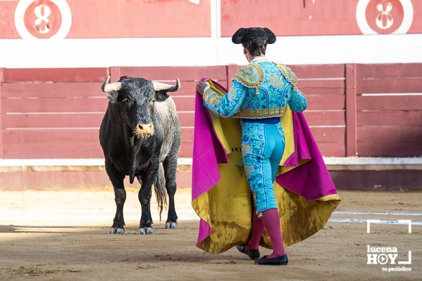 GALERÍA: "Puerta de Córdoba" para Juan Ortega y Pablo Aguado ante un deslucido encierro de Murube en el Coso de los Donceles de Lucena