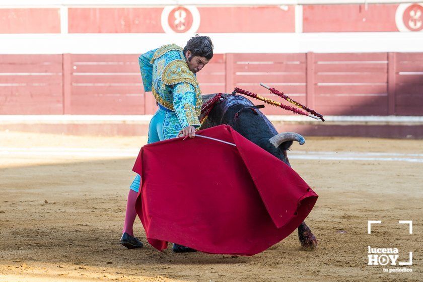 GALERÍA: "Puerta de Córdoba" para Juan Ortega y Pablo Aguado ante un deslucido encierro de Murube en el Coso de los Donceles de Lucena