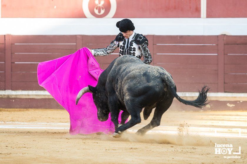 GALERÍA: "Puerta de Córdoba" para Juan Ortega y Pablo Aguado ante un deslucido encierro de Murube en el Coso de los Donceles de Lucena GALERÍA: "Puerta de Córdoba" para Juan Ortega y Pablo Aguado ante un deslucido encierro de Murube en el Coso de los Donceles de Lucena