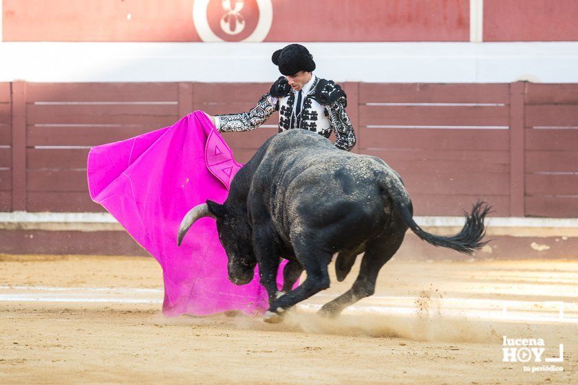 GALERÍA: "Puerta de Córdoba" para Juan Ortega y Pablo Aguado ante un deslucido encierro de Murube en el Coso de los Donceles de Lucena