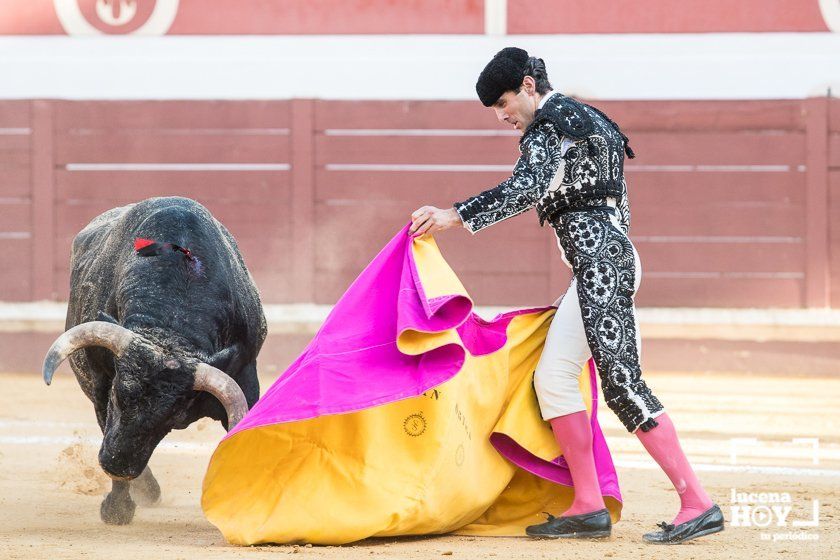 GALERÍA: "Puerta de Córdoba" para Juan Ortega y Pablo Aguado ante un deslucido encierro de Murube en el Coso de los Donceles de Lucena