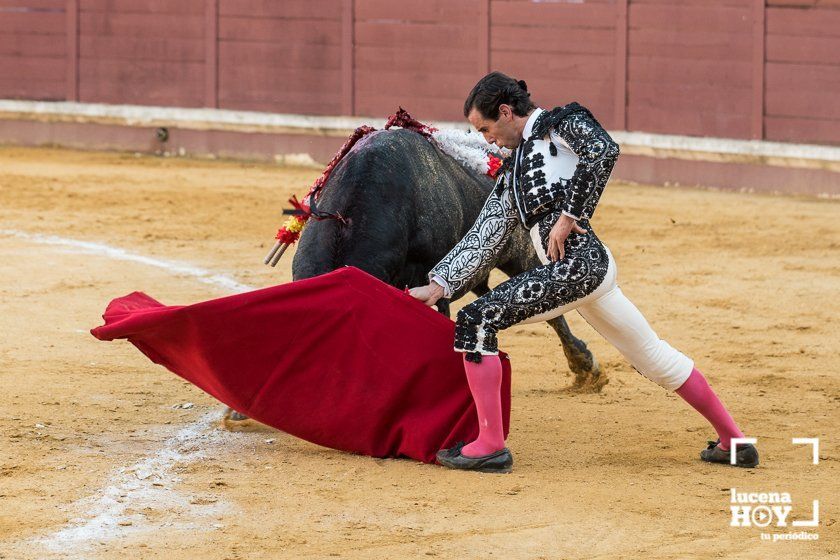 GALERÍA: "Puerta de Córdoba" para Juan Ortega y Pablo Aguado ante un deslucido encierro de Murube en el Coso de los Donceles de Lucena