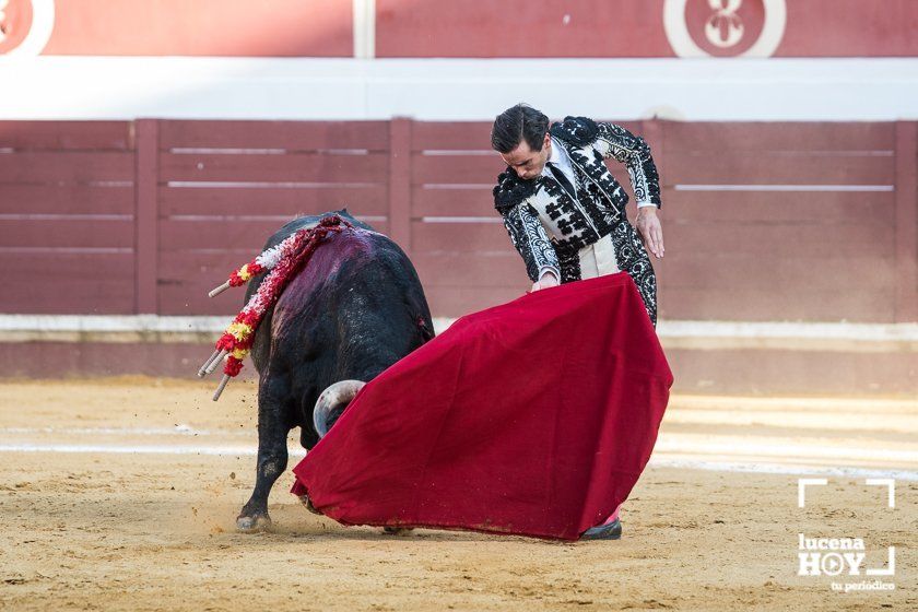 GALERÍA: "Puerta de Córdoba" para Juan Ortega y Pablo Aguado ante un deslucido encierro de Murube en el Coso de los Donceles de Lucena