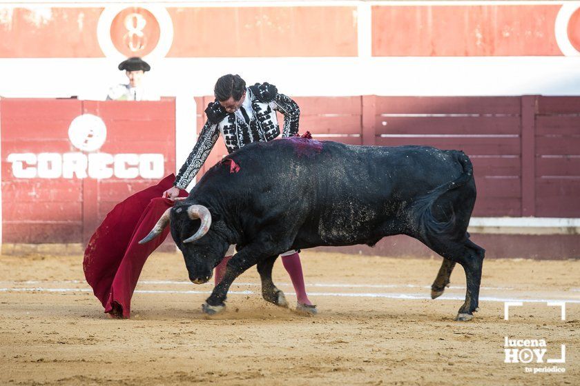 GALERÍA: "Puerta de Córdoba" para Juan Ortega y Pablo Aguado ante un deslucido encierro de Murube en el Coso de los Donceles de Lucena