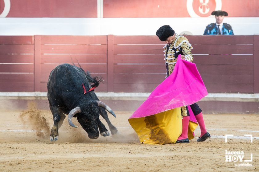 GALERÍA: "Puerta de Córdoba" para Juan Ortega y Pablo Aguado ante un deslucido encierro de Murube en el Coso de los Donceles de Lucena