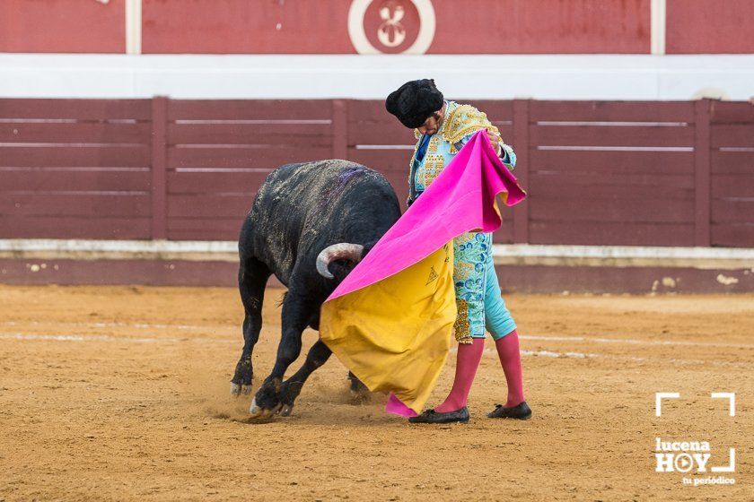 GALERÍA: "Puerta de Córdoba" para Juan Ortega y Pablo Aguado ante un deslucido encierro de Murube en el Coso de los Donceles de Lucena