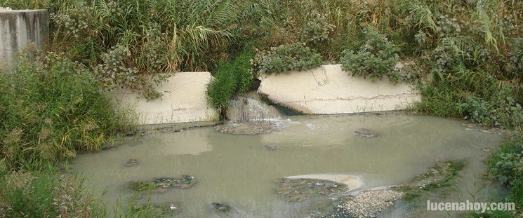  Malestar ciudadano por los malos olores procedentes del río 