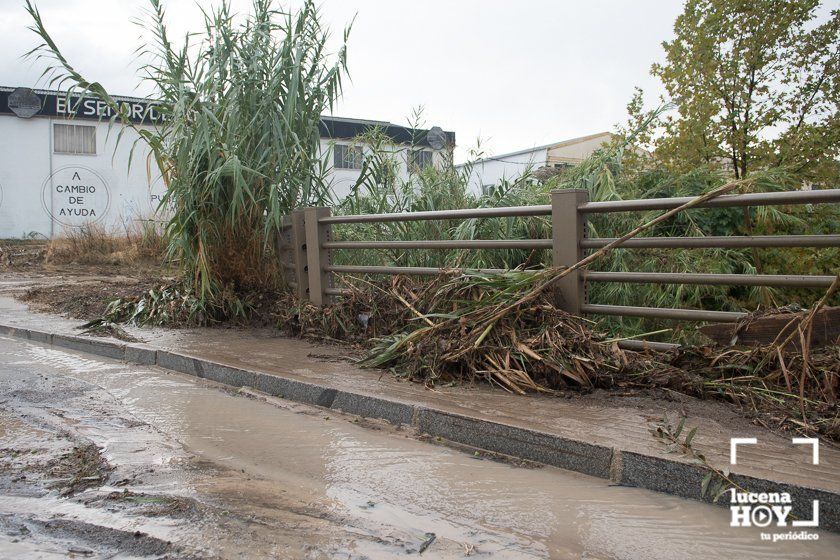 GALERÍA: Lucena intenta recuperar la normalidad tras el desastre que deja la tormenta. Las fotos de otra tromba de agua histórica y sus efectos