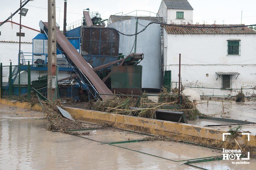 GALERÍA: Lucena intenta recuperar la normalidad tras el desastre que deja la tormenta. Las fotos de otra tromba de agua histórica y sus efectos