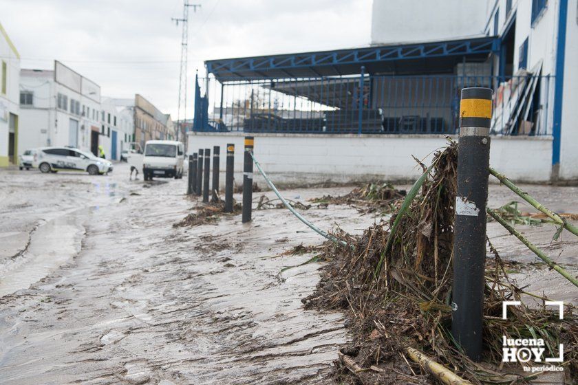 GALERÍA: Lucena intenta recuperar la normalidad tras el desastre que deja la tormenta. Las fotos de otra tromba de agua histórica y sus efectos