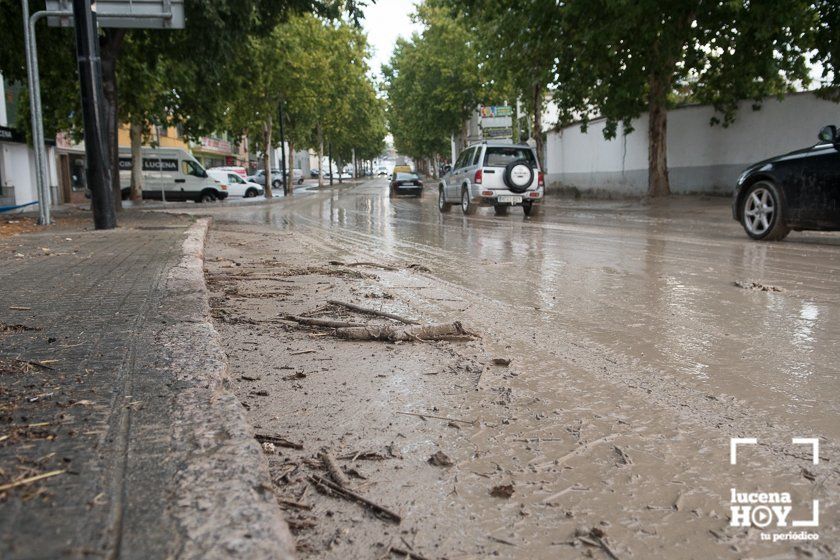 GALERÍA: Lucena intenta recuperar la normalidad tras el desastre que deja la tormenta. Las fotos de otra tromba de agua histórica y sus efectos