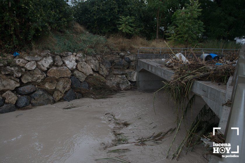 GALERÍA: Lucena intenta recuperar la normalidad tras el desastre que deja la tormenta. Las fotos de otra tromba de agua histórica y sus efectos