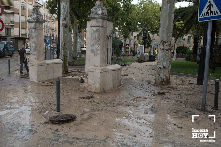 GALERÍA: Lucena intenta recuperar la normalidad tras el desastre que deja la tormenta. Las fotos de otra tromba de agua histórica y sus efectos GALERÍA: Lucena intenta recuperar la normalidad tras el desastre que deja la tormenta. Las fotos de otra tromba de agua histórica y sus efectos
