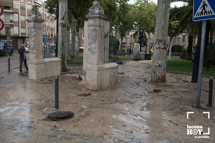 GALERÍA: Lucena intenta recuperar la normalidad tras el desastre que deja la tormenta. Las fotos de otra tromba de agua histórica y sus efectos