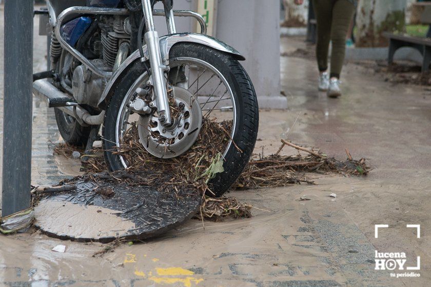 GALERÍA: Lucena intenta recuperar la normalidad tras el desastre que deja la tormenta. Las fotos de otra tromba de agua histórica y sus efectos GALERÍA: Lucena intenta recuperar la normalidad tras el desastre que deja la tormenta. Las fotos de otra tromba de agua histórica y sus efectos