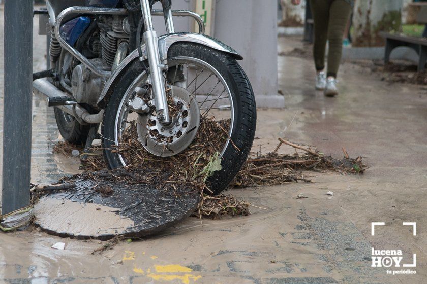 GALERÍA: Lucena intenta recuperar la normalidad tras el desastre que deja la tormenta. Las fotos de otra tromba de agua histórica y sus efectos