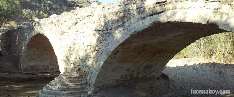  Opinión: "Puente Povedano", por Torre del Moral y Mejorana 