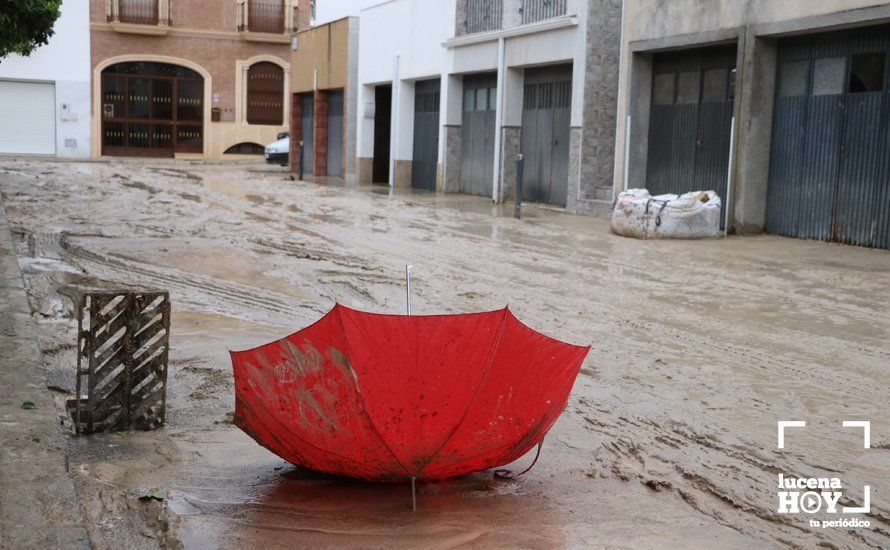 GALERÍA: Lucena intenta recuperar la normalidad tras el desastre que deja la tormenta. Las fotos de otra tromba de agua histórica y sus efectos GALERÍA: Lucena intenta recuperar la normalidad tras el desastre que deja la tormenta. Las fotos de otra tromba de agua histórica y sus efectos