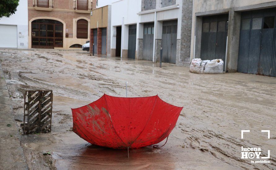 GALERÍA: Lucena intenta recuperar la normalidad tras el desastre que deja la tormenta. Las fotos de otra tromba de agua histórica y sus efectos