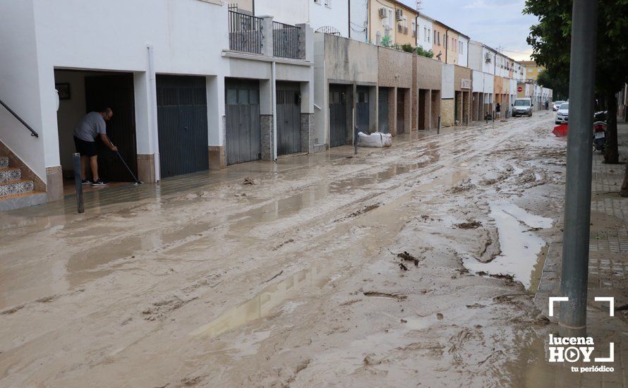 GALERÍA: Lucena intenta recuperar la normalidad tras el desastre que deja la tormenta. Las fotos de otra tromba de agua histórica y sus efectos