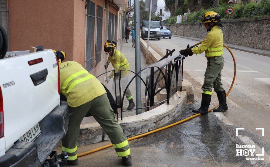 GALERÍA: El Ayuntamiento de Lucena valora en unos 500.000 euros los daños solo en infraestructuras municipales y estudia la petición de ayudas por inundaciones mientras siguen los trabajos de limpieza