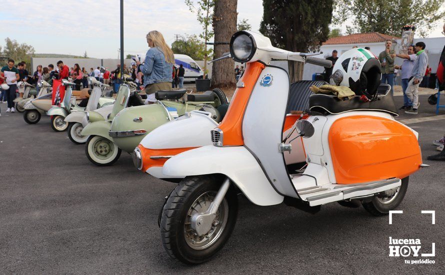 GALERÍA: Sigue la historia de amor entre Lucena y las Vespas: más de 500 vesperos vuelve a inundar las carreteras de la Subbética