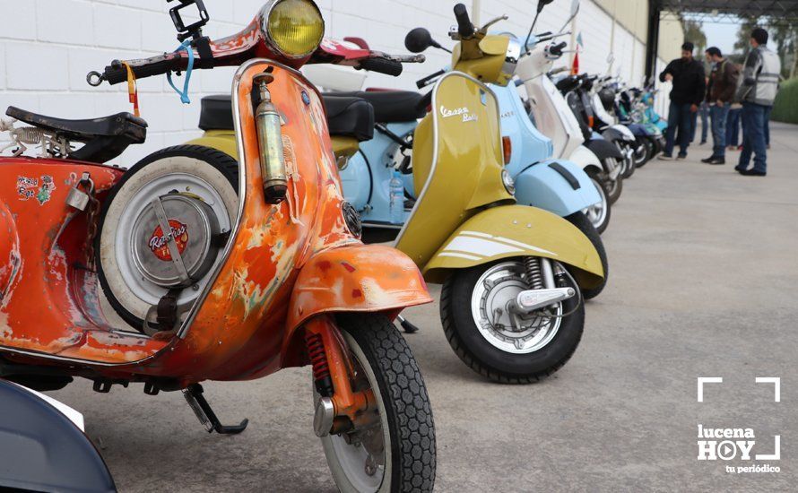 GALERÍA: Sigue la historia de amor entre Lucena y las Vespas: más de 500 vesperos vuelve a inundar las carreteras de la Subbética GALERÍA: Sigue la historia de amor entre Lucena y las Vespas: más de 500 vesperos vuelve a inundar las carreteras de la Subbética