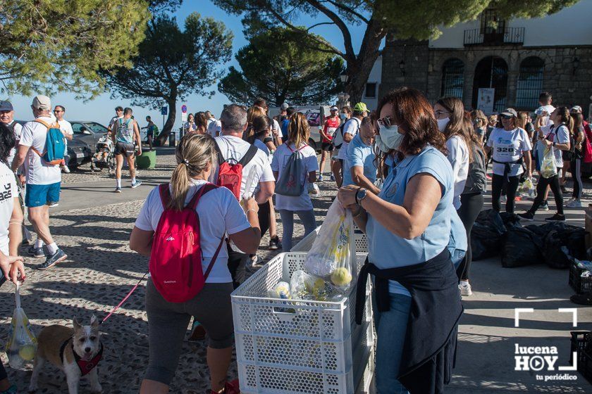 GALERÍA: Corriendo o andando: 800 personas en la IV Carrera de Subida al Real Santuario de María Stma. de Araceli que se han llevado Alberto Casas y Fátima Ouhaddou GALERÍA: Corriendo o andando: 800 personas en la IV Carrera de Subida al Real Santuario de María Stma. de Araceli que se han llevado Alberto Casas y Fátima Ouhaddou